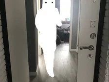 1574866579847