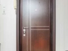 steel-doors-tssd-stardis-chrom-new-(2)